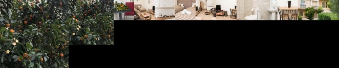 Studio Apartment Vukcevic