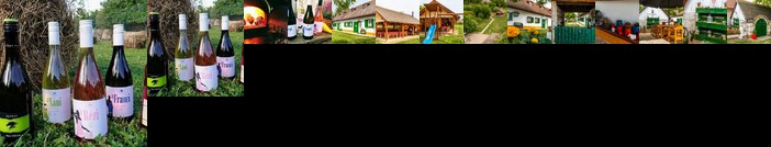 Zsambeki Vendeghaz es Birtok