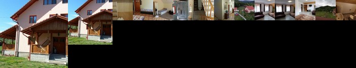 Casa Cecilia Costesti