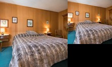 Big Luxurious Chalet in Schonried