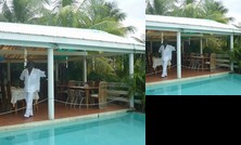 Dennis Hideaway Guesthouse Restaurant