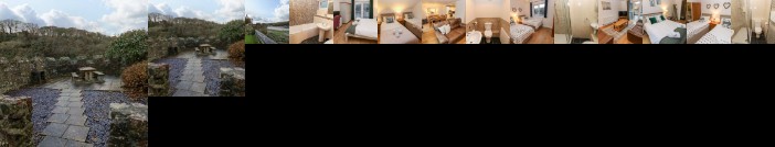 Goldfinch Milford Haven