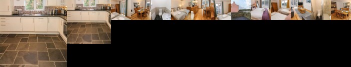 Curlew Milford Haven