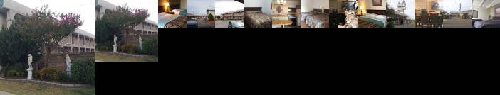 Cactus inn and suites