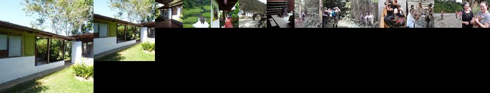 Homestay - Jungle House In Manu National Park