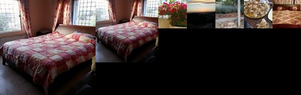 Homestay - friendly family in Amman