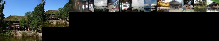 Homestay - Vu linh homestay - stilt house