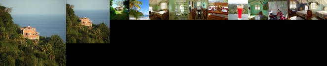 Homestay - Rootsy traveler and nature lover