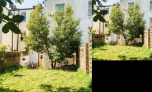 Bright and Spacious 1 Bedroom Flat With Garden