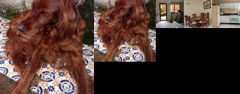 Homestay - Nature lovers Mexico City