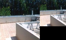 Homestay - A lover of Lana in the field