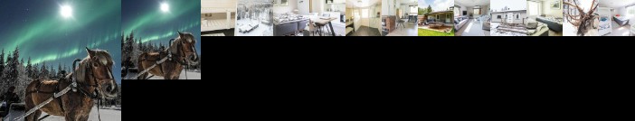 The Elegant Haistila