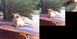 Homestay - Secure & private close to beach