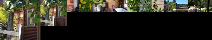 Orchard Bed and Breakfast Parapara