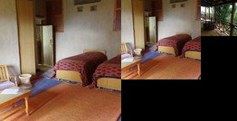 Homestay - Orchard Hut home stay