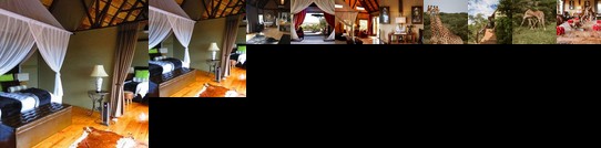 Bush Lodge - Amakhala Game Reserve