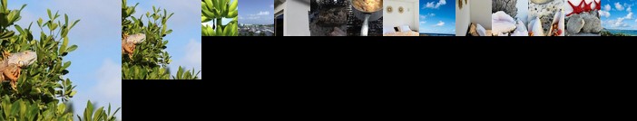 Appartement entre Terre et Mer a Saint-Martin