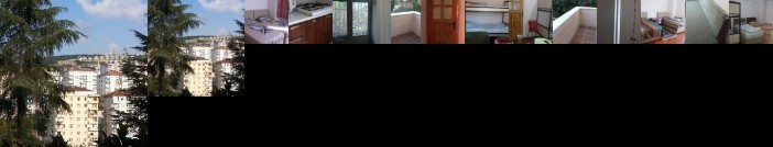 Adelante El Destino - Adults Only