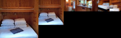 Cozy Cabin in the Woods