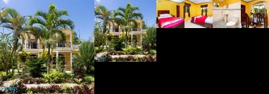 Apartment Caribbean - 94438