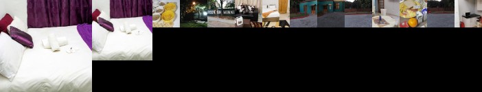 Green on minni Guest House
