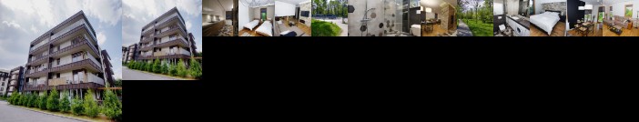 City of the Kings Green Silence Apartment