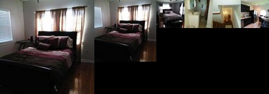 New Orleans Little Gem