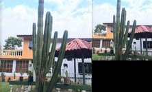Los Cactus Santa Ana