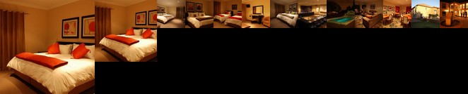 The Wild Olive Guesthouse