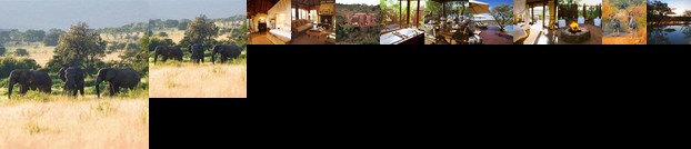 Nungubane Game Lodge