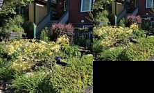 Mount Pleasant Bed and Breakfast