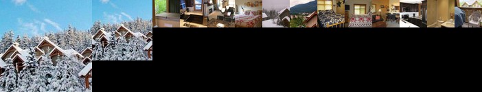 Mountain Star Whistler