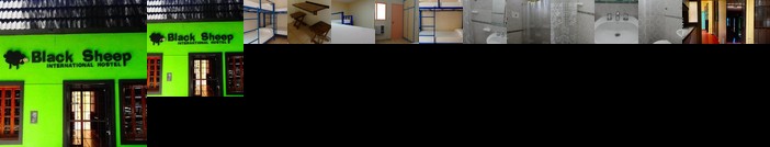 Black Sheep International Hostel