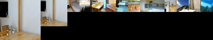 Apartment With one Bedroom in Auris en Oisans With Wonderful Mountain View and Furnished Balcony -