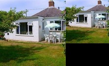 Driftwood Milford on Sea