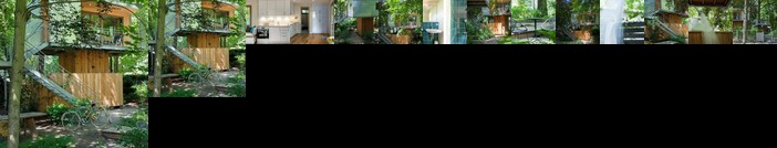 Urban Tree House