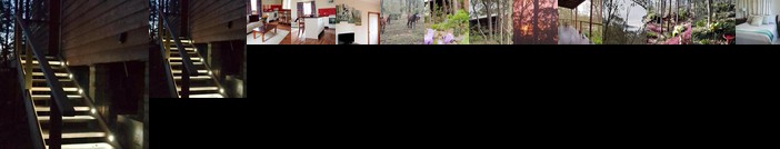 Lucky Mountain Cottage