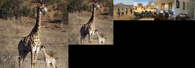 Fugitives Drift Guest House