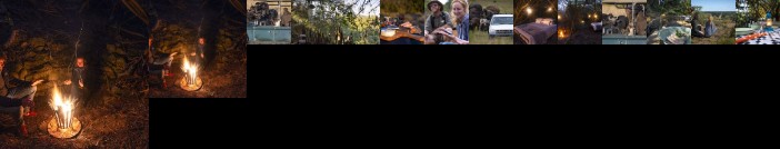 Stargazer Camp - Bellevue Forest Reserve