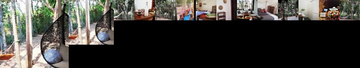 La Maison des Bambous