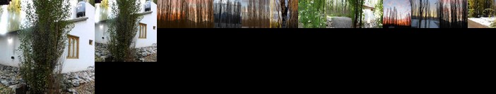 Los Abedules Bungalow