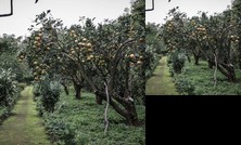 Casa do Pico da Pedra