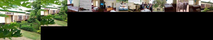 Lodge B Mawira