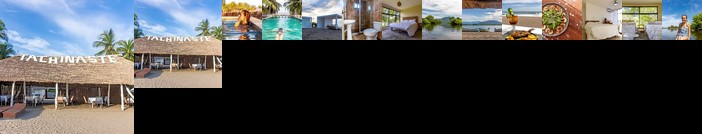 Tachinaste Puerto Arista