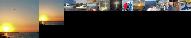 Mermaid's Lair Pensacola