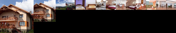 Pensiunea Teo Borsec