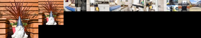 Modern Seattle Oasis