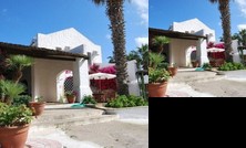 The Holiday and Art Seahorse House