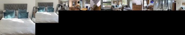 The High-Rise Luxury Apartment