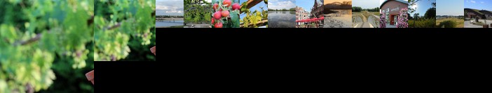 B&B Natuurlijk Genieten